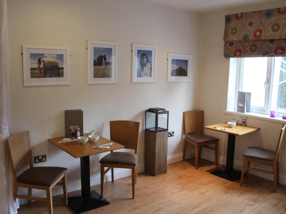 Clover Spa and Hotel - Resim 3