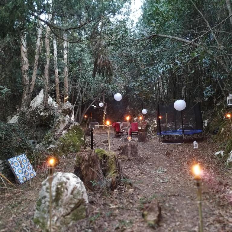 Zahrada ubytování Glamping La Maeta