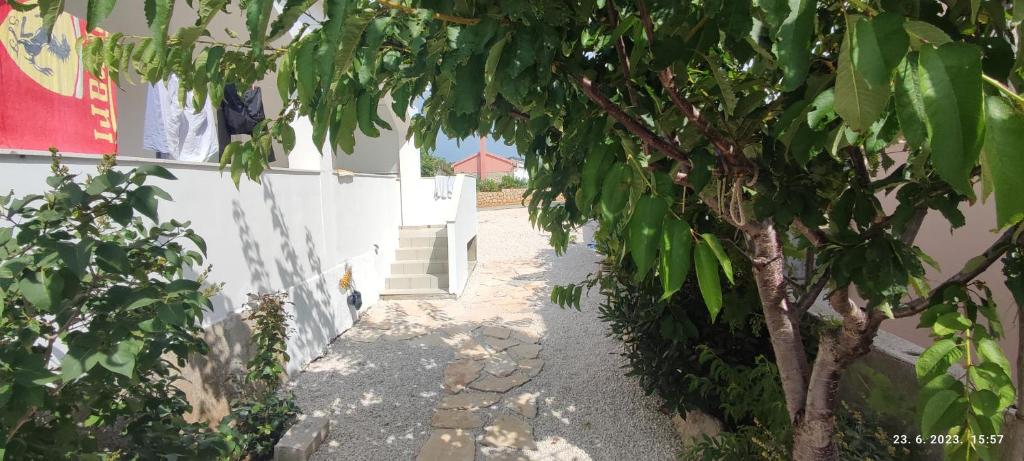 een pad met een boom naast een witte muur bij Posolica in Ražanac