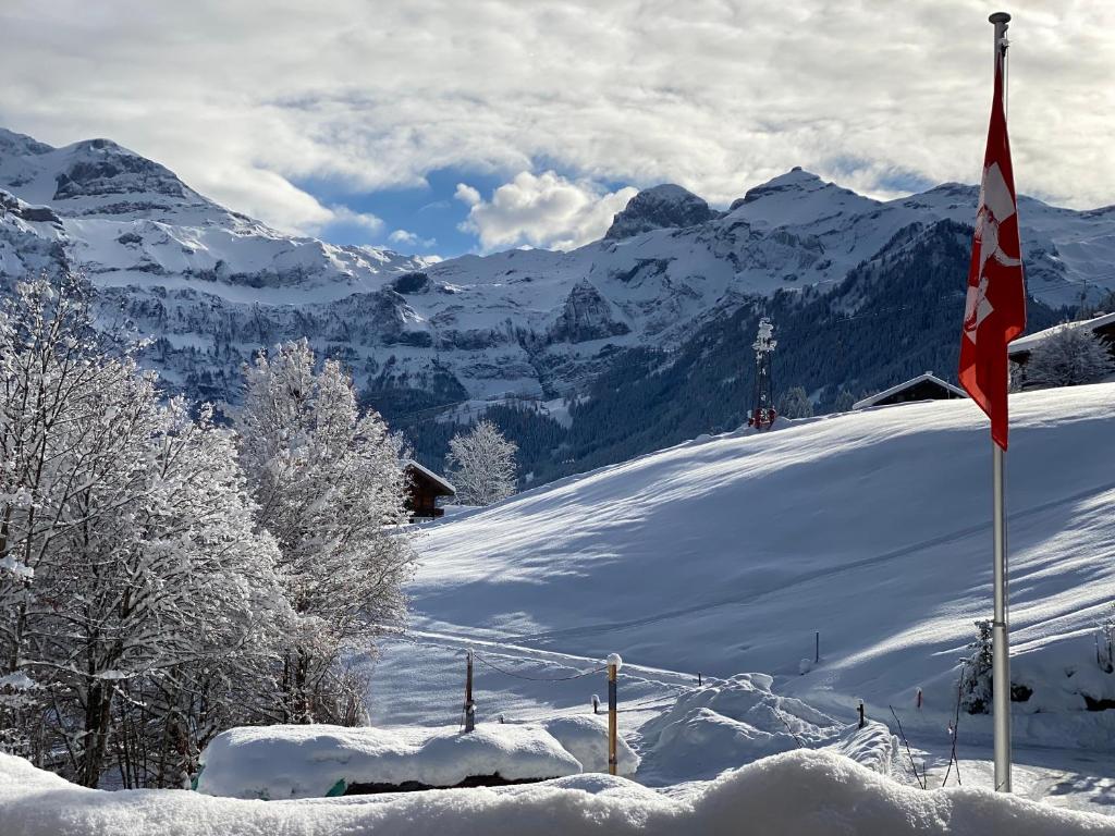 Büehl Lenk talvel
