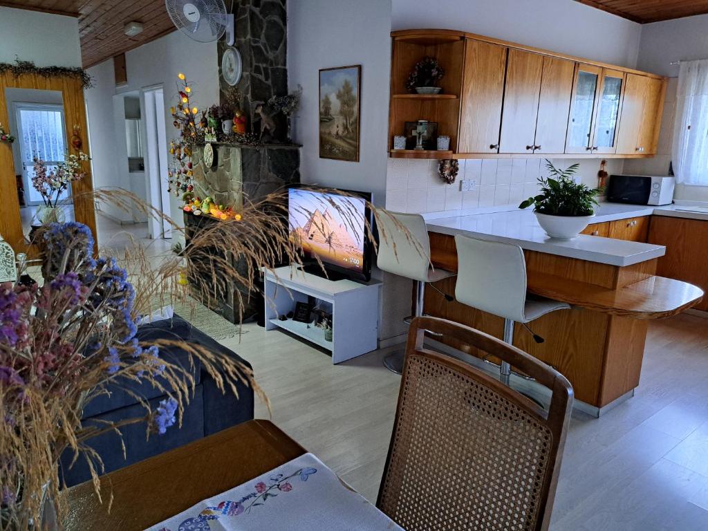 Kuchyň nebo kuchyňský kout v ubytování Kyperounta Troodos mountain house