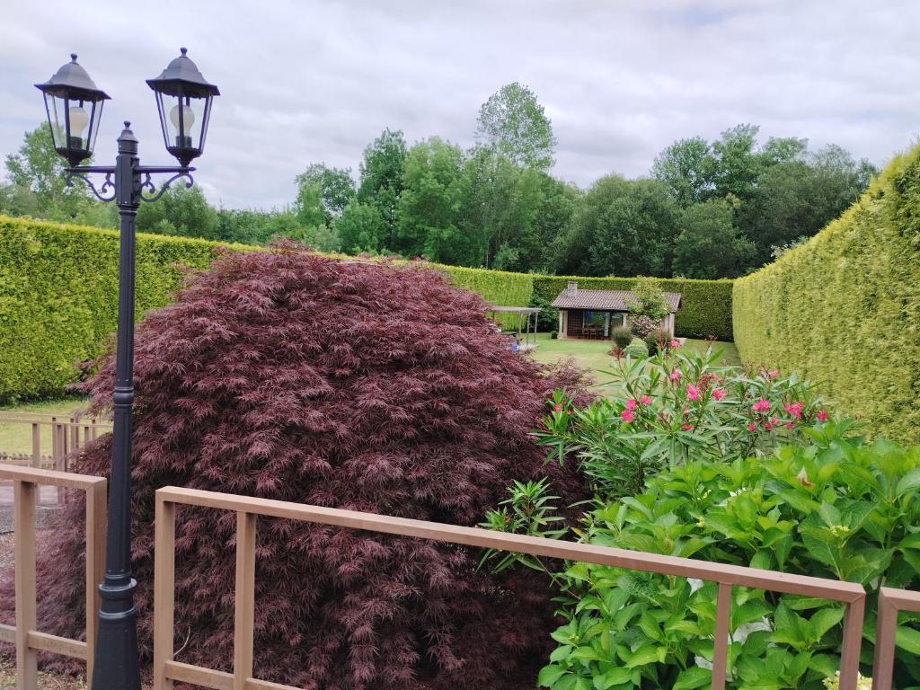 Zahrada ubytování Finca O Loureiro