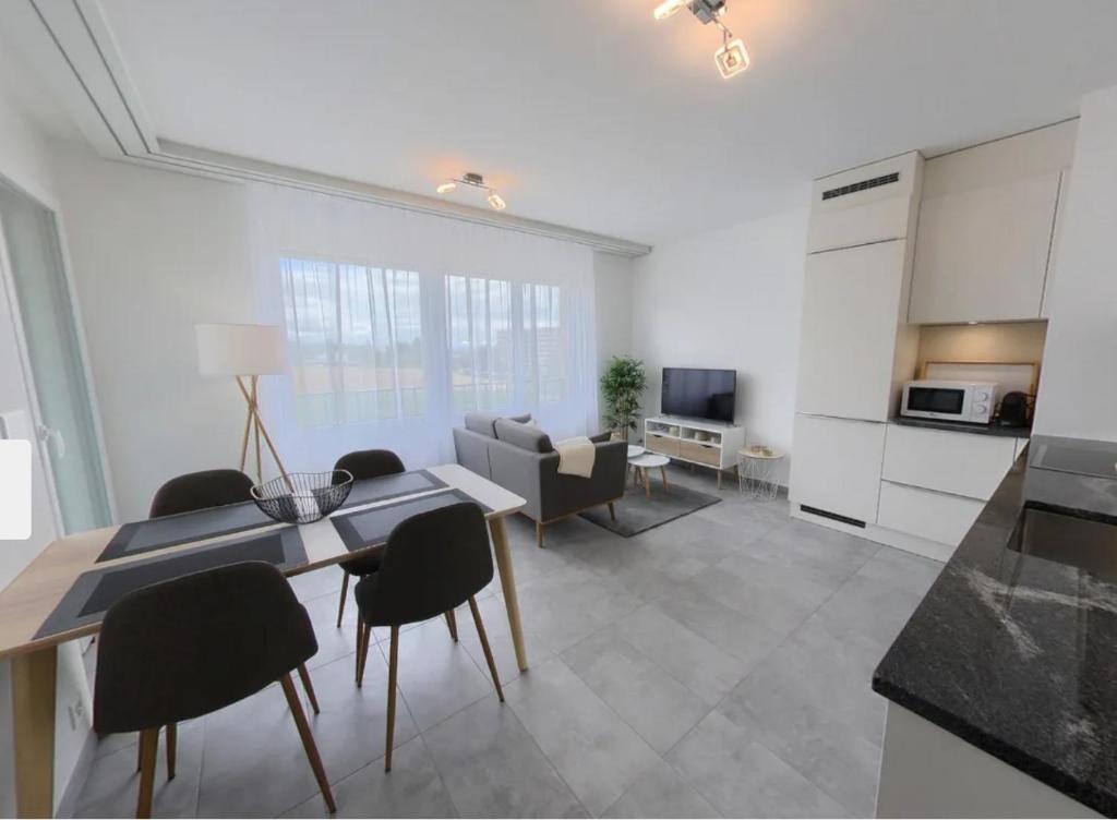 Gallery image of Modern 1 Bedroom Apartment with Balcony & Parking CFAlcea in Nyon