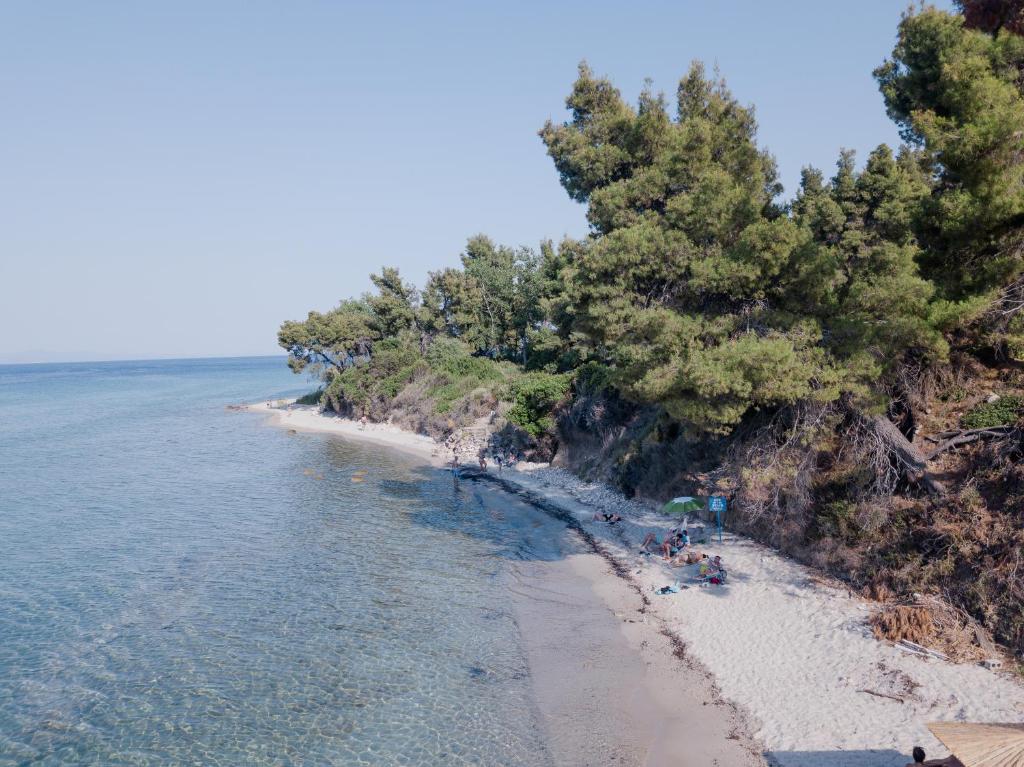 Příroda nedaleko apartmánu
