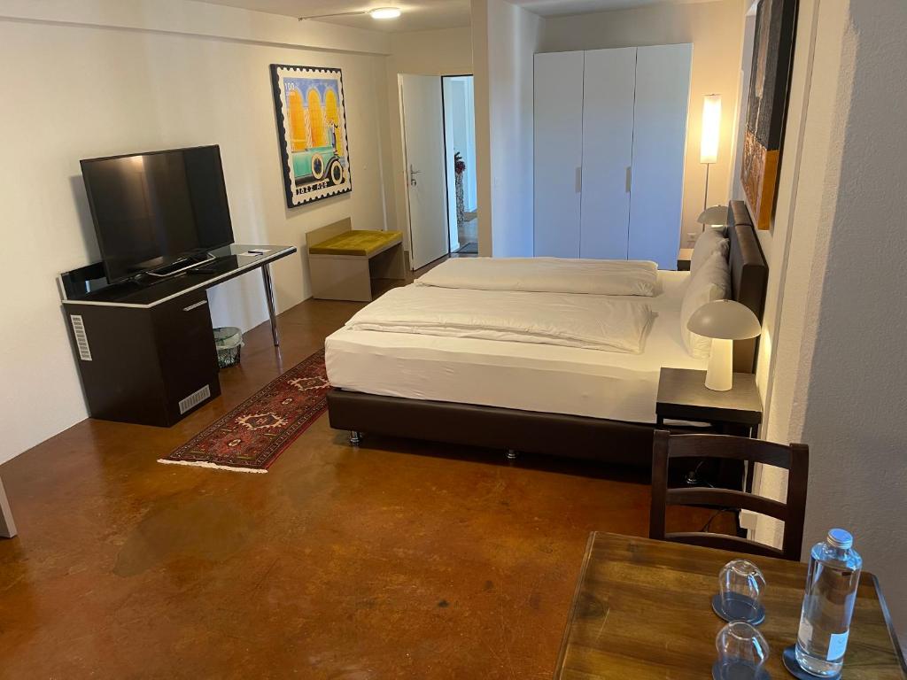 TV a/nebo společenská místnost v ubytování Hotel Swiss Bellevue Aathal