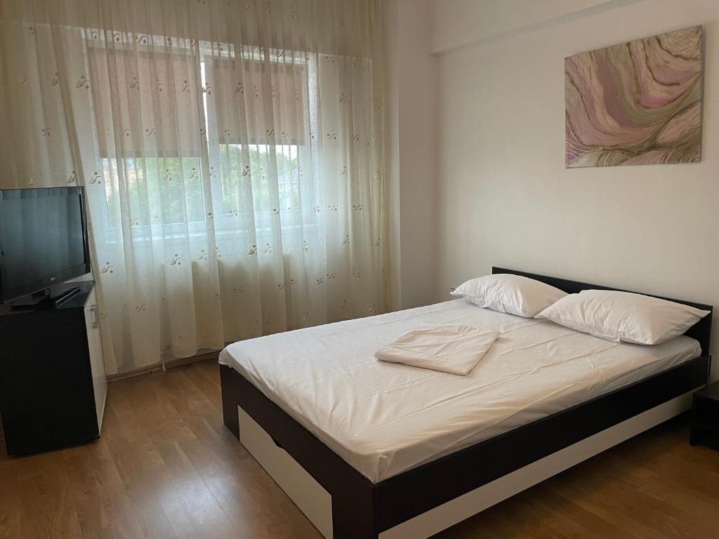 a bedroom with a bed and a television in it at Apartament Techirghiol in Techirghiol