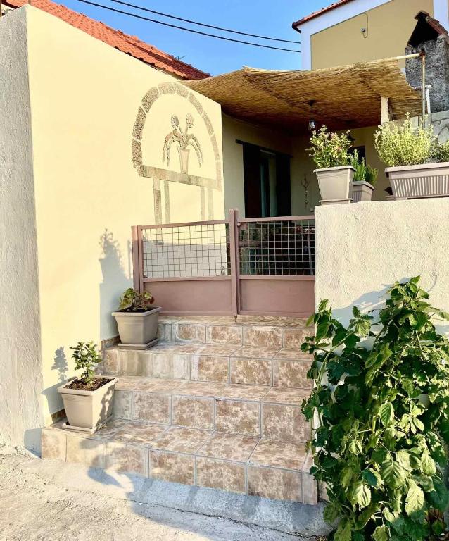 a house with a stone staircase leading to the front door at Trachos Traditional House in Sálakos
