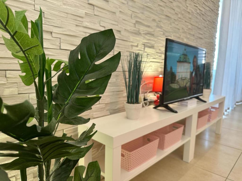 TV a/nebo společenská místnost v ubytování Apartments BRIST HILLS