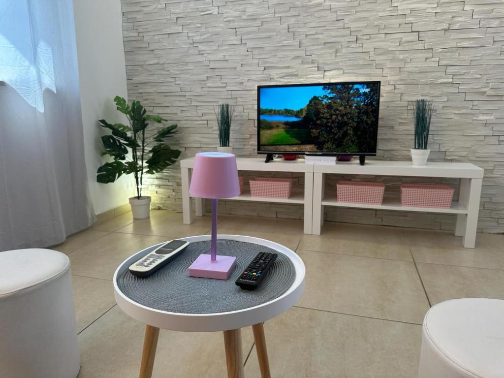 TV a/nebo společenská místnost v ubytování Apartments BRIST HILLS