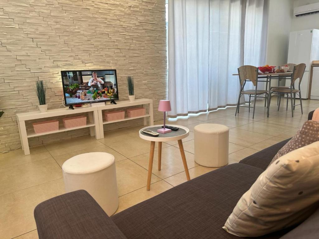 TV a/nebo společenská místnost v ubytování Apartments BRIST HILLS