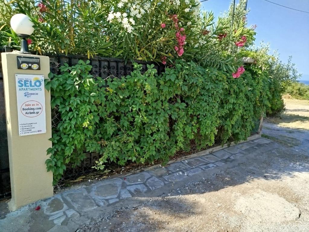 Gallery image of SELO APARTMENTS in Nea Kalikratia