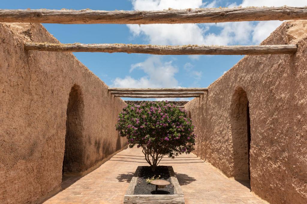 Fotografie z fotogalerie ubytování Casa Poniente v destinaci Haría