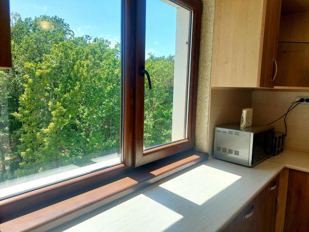Kuchyň nebo kuchyňský kout v ubytování Forest View Apartment