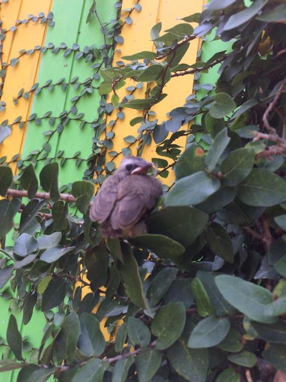 J.Holiday Inn Krabi - Resim 45