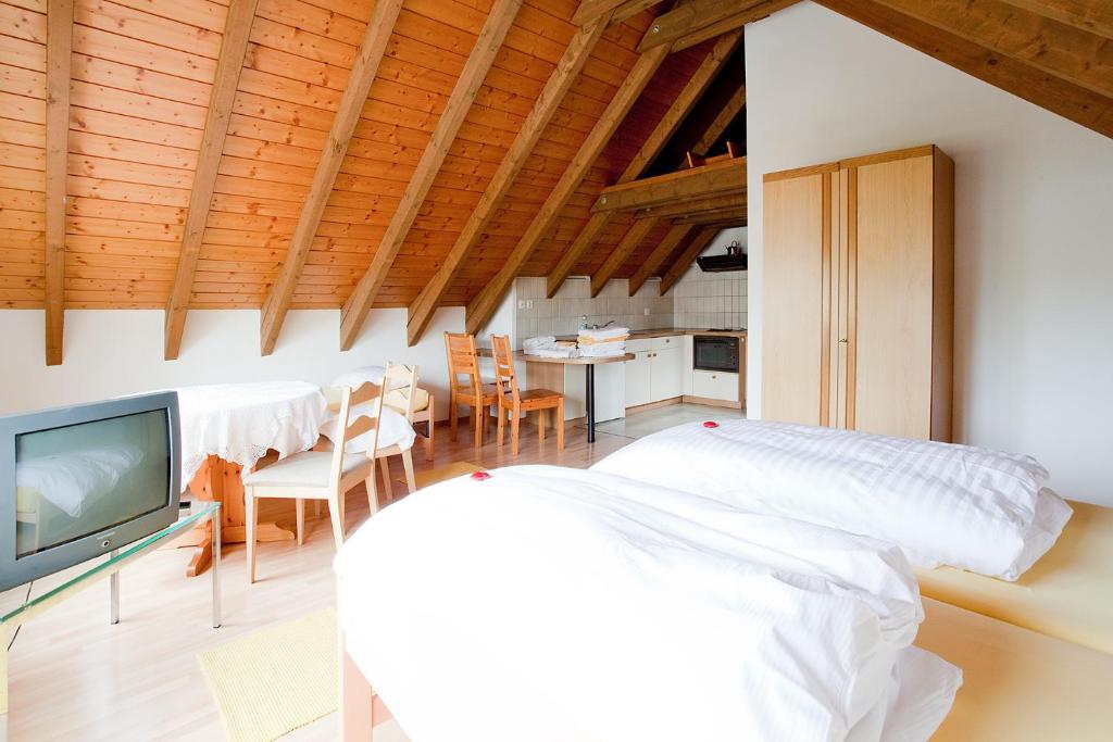 una camera con letto, TV e tavolo di Freihof Embrach a Embrach