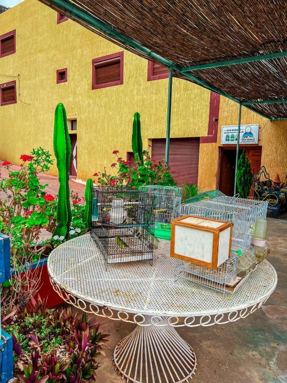 Fotografie z fotogalerie ubytování gite rurale Sousse paradis Vallée v destinaci Agadir