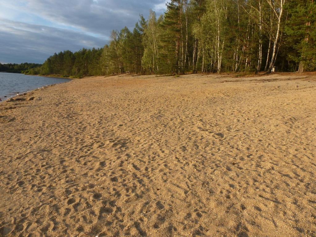 Příroda nedaleko kempu