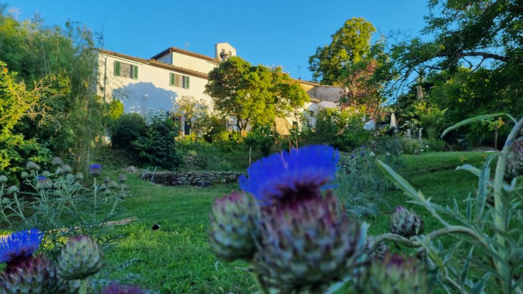 Zahrada ubytování Borgo San Michele Incisa Tuscany