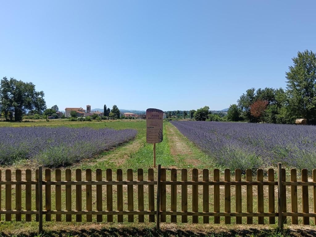 Zahrada ubytování L'Antico Fienile