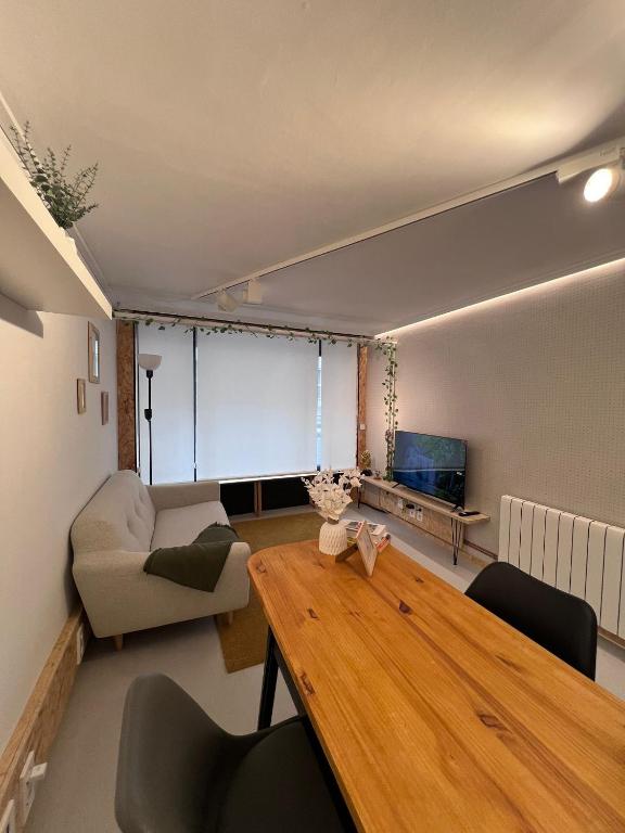 Μια τηλεόραση ή/και κέντρο ψυχαγωγίας στο LOFT Céntrico MALIAÑO - DUA ROOMS