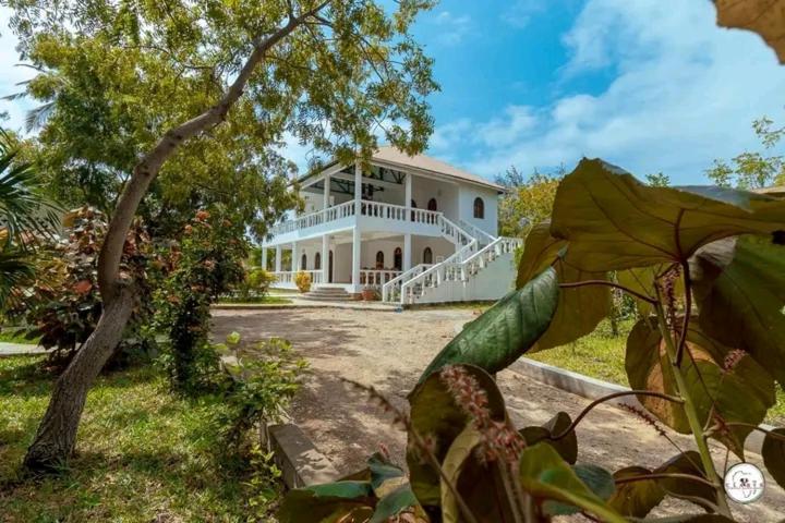 Zahrada ubytování Mlima cottage