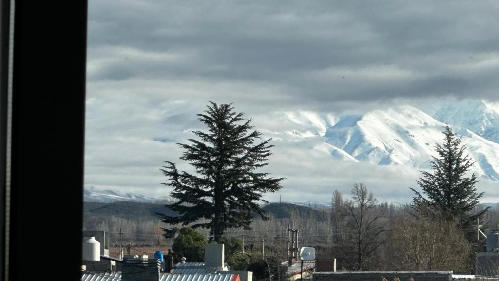 a view of a snow covered mountain with a tree at Depto con vista insuperable in Tupungato