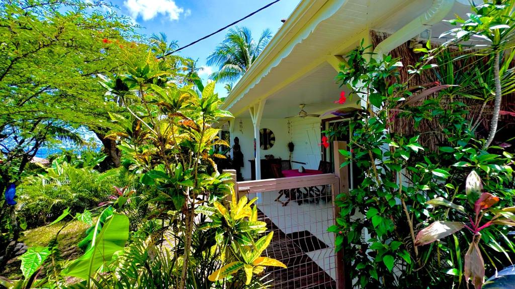 Zahrada ubytování MAJO LOUNGE dans un jardin tropical à 5 min de la mer Caraïbe