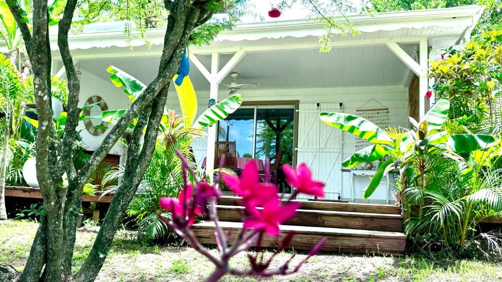 Zahrada ubytování MAJO LOUNGE dans un jardin tropical à 5 min de la mer Caraïbe