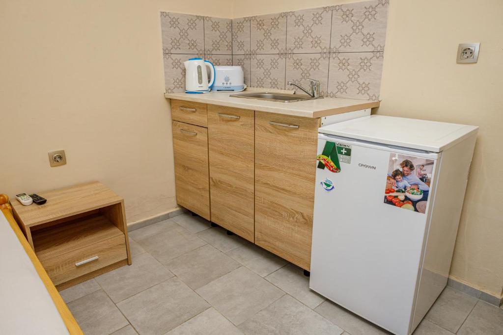 Kuchyň nebo kuchyňský kout v ubytování Silitur Central