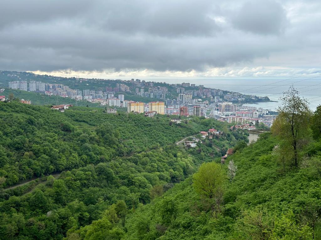 Příroda nedaleko apartmánu