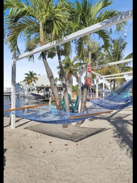 Hosté ubytování Paradise key largo