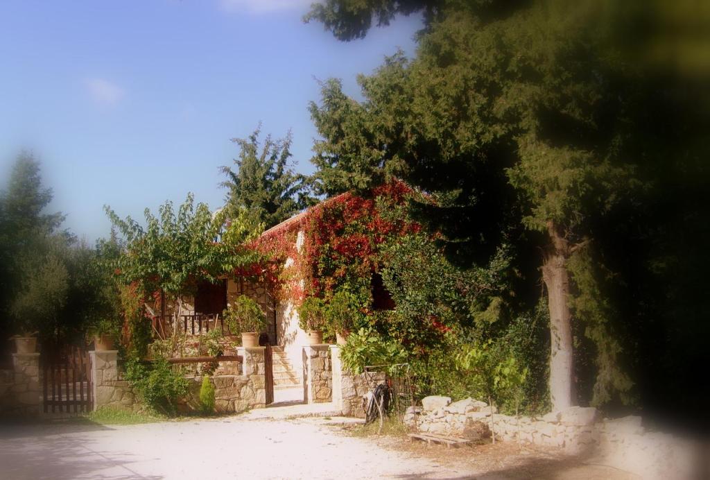 Fotografie z fotogalerie ubytování Manoli's House v destinaci Douliana