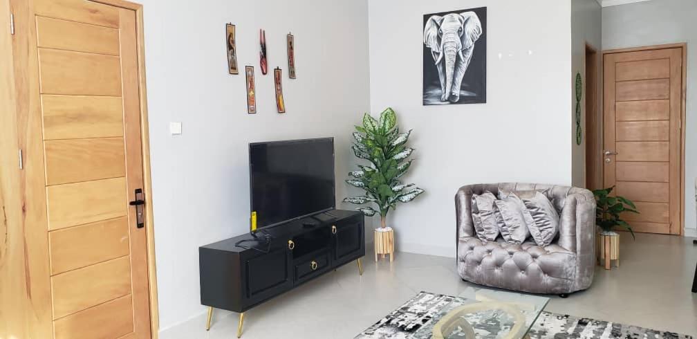 TV a/nebo společenská místnost v ubytování Modern Apartment in Kampala