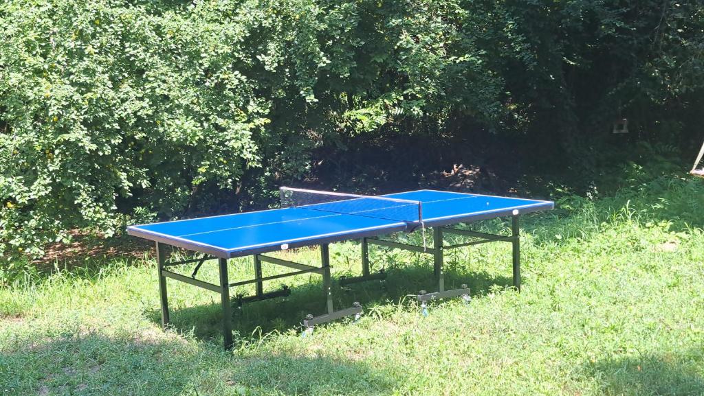 Stolní tenis v ubytování Szentendrei sziget, modern faház, télen is nebo okolí