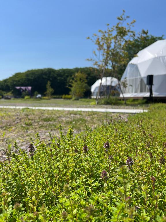 Zahrada ubytování YUKARA Glamping 北海道大沼公園