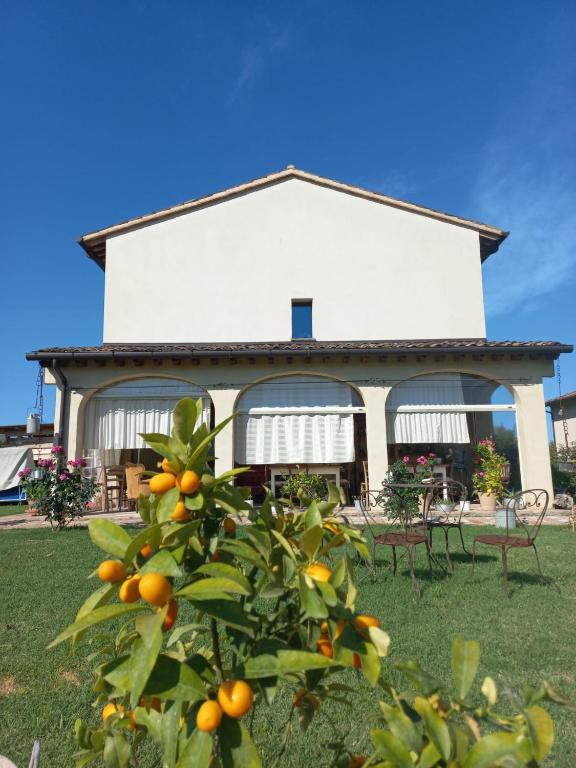 A garden outside BeB montefratta