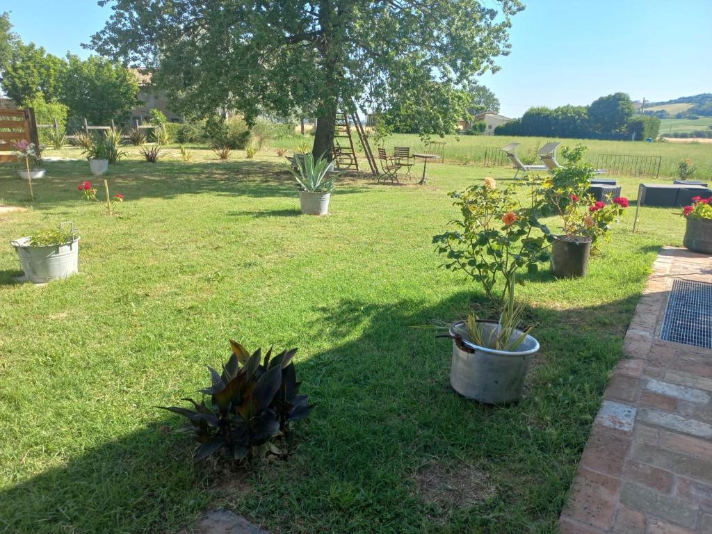 A garden outside BeB montefratta