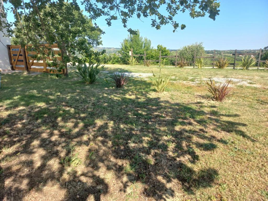A garden outside BeB montefratta