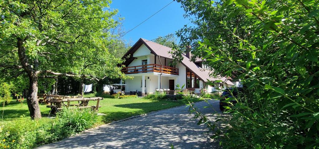 Samardzic House V
