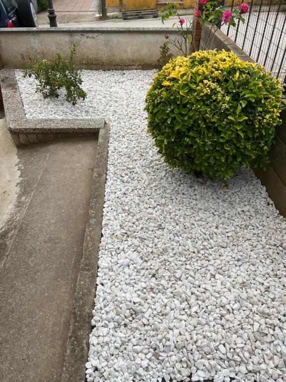 Zahrada ubytování Cals Avis de Sau
