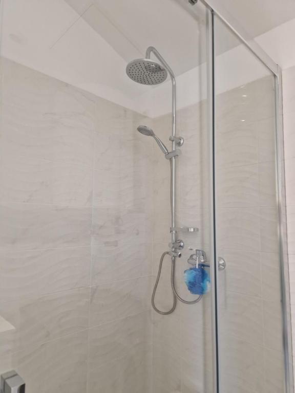 d'une douche avec une porte en verre et un pommeau de douche. dans l'établissement Tres bel hébergement ensoleillé les Romarins, à Le Val