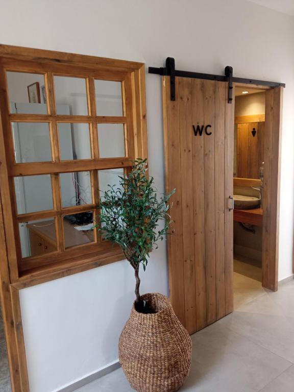 a plant in a vase next to a door at Hotel Flisvos in Megalochori