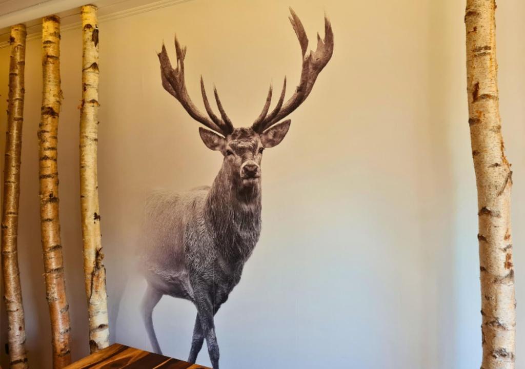 Fotografie z fotogalerie ubytování Hotel Harzresidenz v destinaci Thale