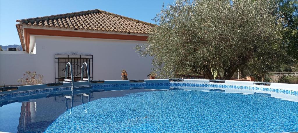 a swimming pool in front of a house at Villa Oasis in Los Gallardos