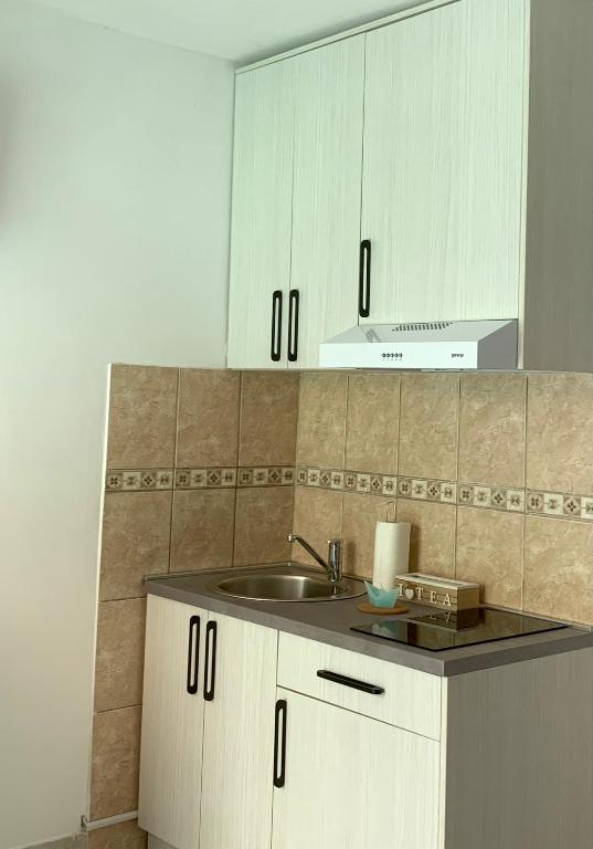 Kuchyň nebo kuchyňský kout v ubytování Apartman DMA