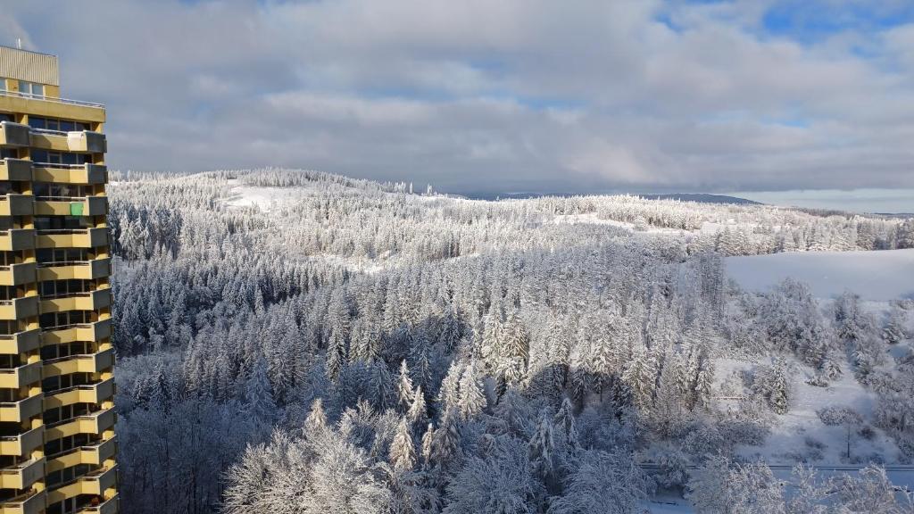 Apartment 350 mit Brockenblick om vinteren