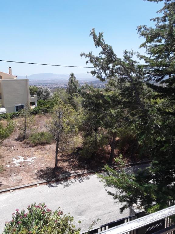 a view of a yard with trees and a house at Ferienwohnung zwischen City Athen Strand und Flughafen in den Bergen in Drafí