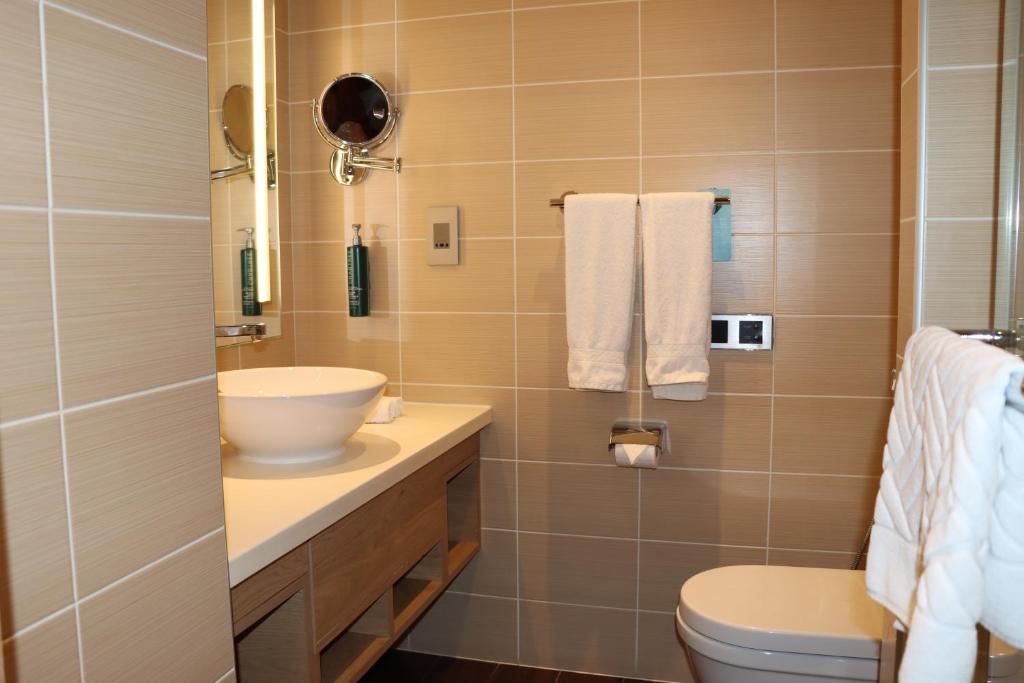 Hilton Garden Inn Dubai, Mall Avenue - Chambre Reine