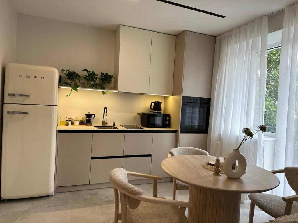 Kuchyň nebo kuchyňský kout v ubytování Pasteli_Apart