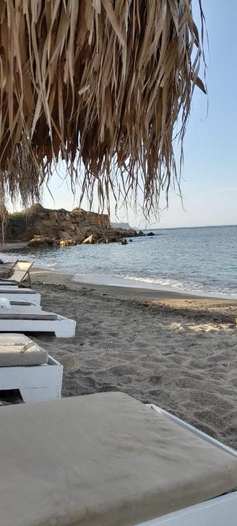 Táj Show holiday homes közelében